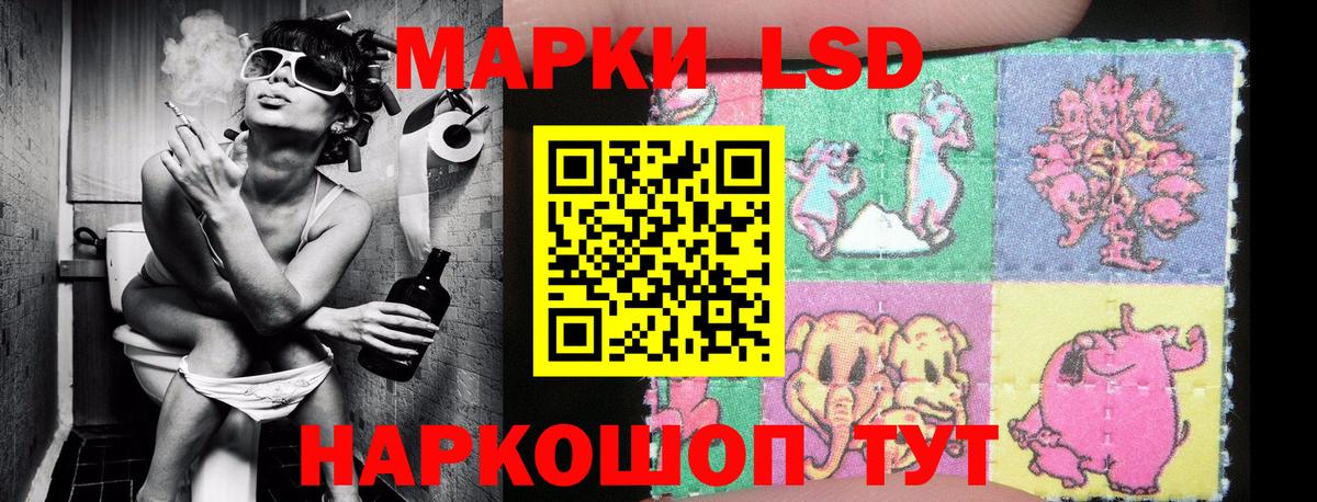 Марки NBOMe 1,5мг  Марки NBOMe 1,5мг  наркота  Вход с VPN  Гудермес 